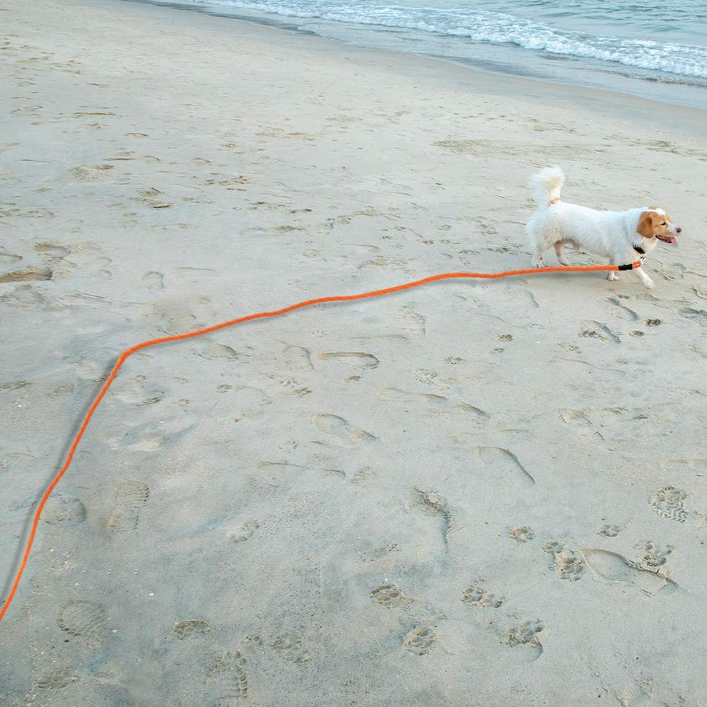 Vivifying correa perro naranja para mayor visibilidad