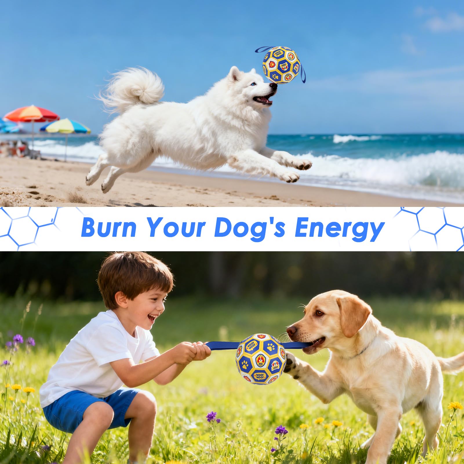 Apto para perros de 20-40 libras