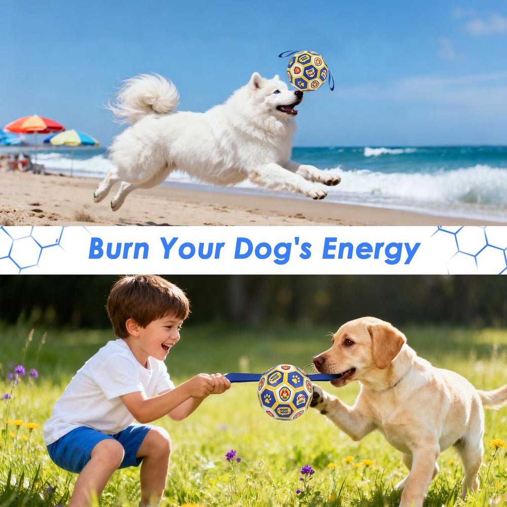 Apto para perros de 20-40 libras