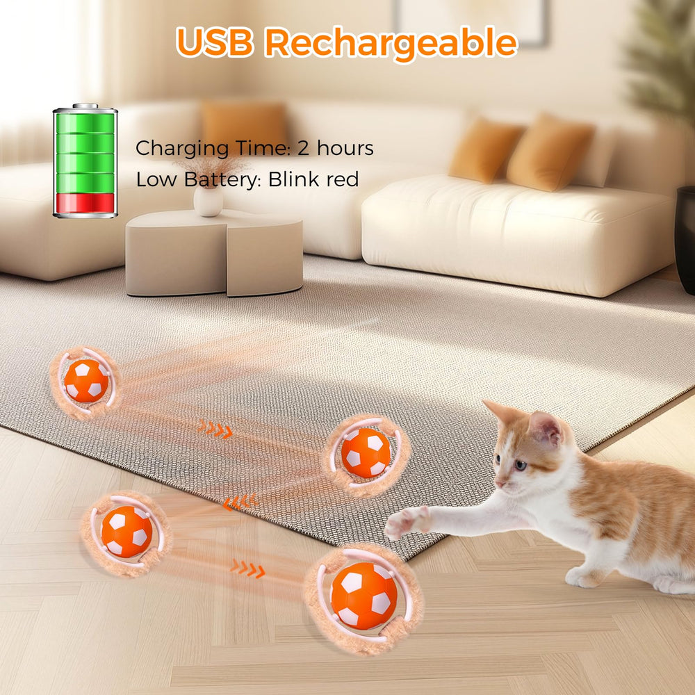 VIWIK Gato Juguete Cuatro Huecos para más oportunidades de juego oculto.