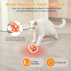 VIWIK modo rápido con luz azul para gatos activos