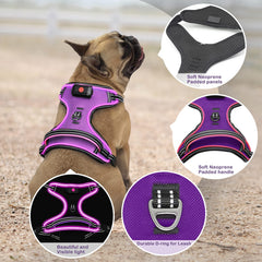 Vizbrite arnés iluminado con manija acolchada para un manejo cómodo.