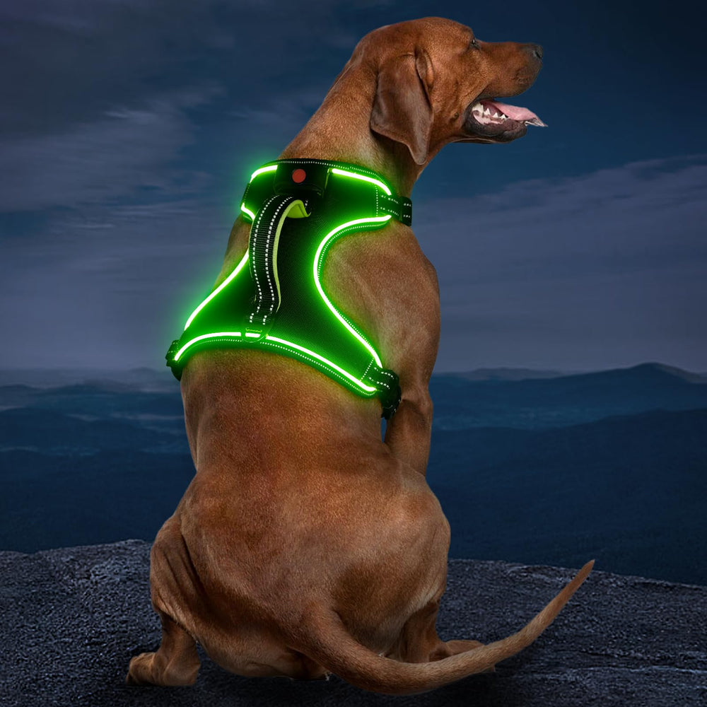 Vizbrite Arnes Iluminado, vista frontal, mayor visibilidad nocturna para paseos más seguros.