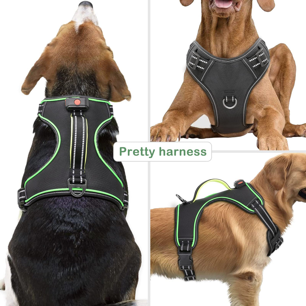 Vizbrite Arnes Luz LED, iluminación nocturna para detectar al perro en oscuridad.