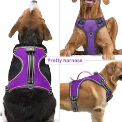 Vizbrite Arnes LUZ LED Perro Dorso: mejor visibilidad desde atrás en la oscuridad.