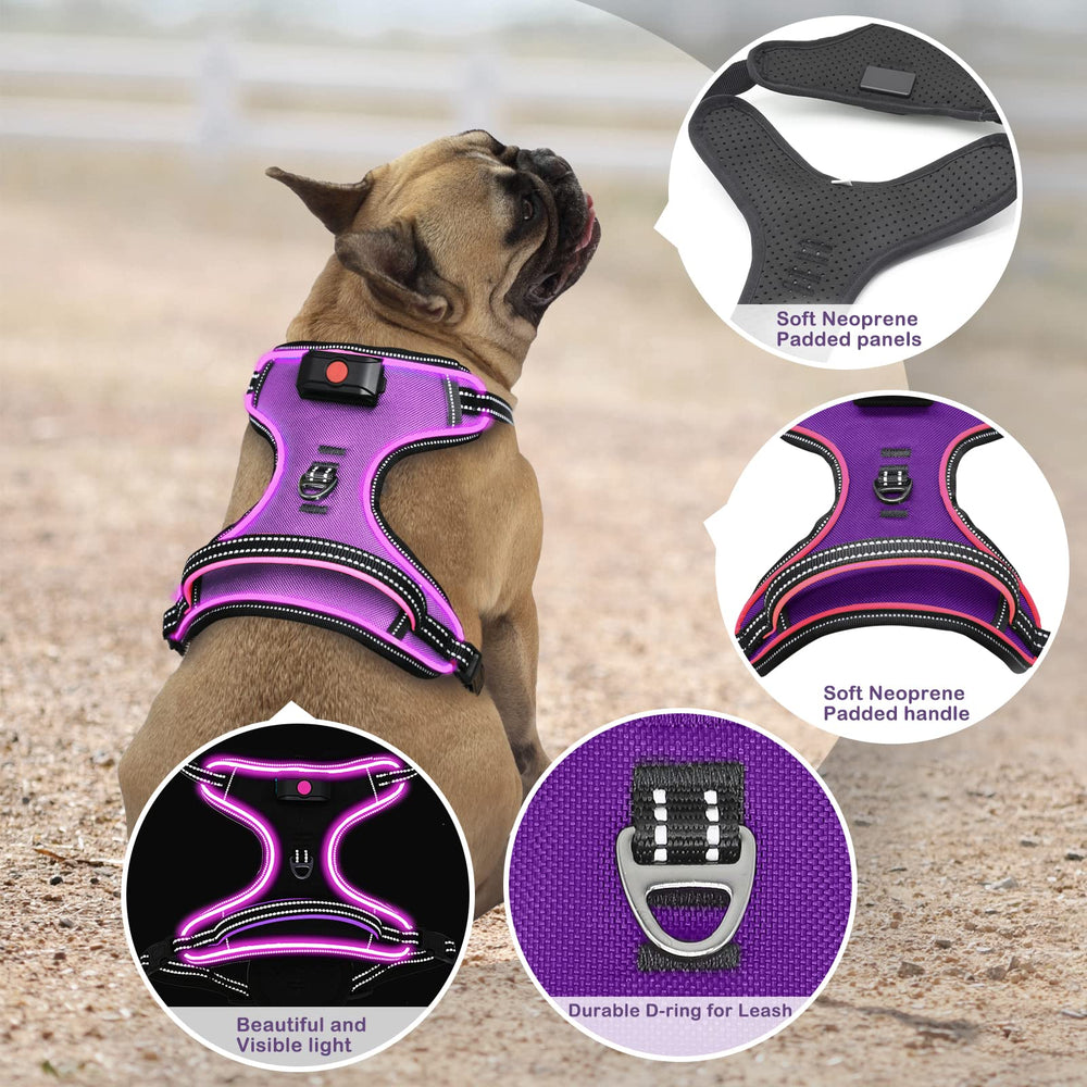 Vizbrite arnés con acolchado de neopreno para comodidad del perro
