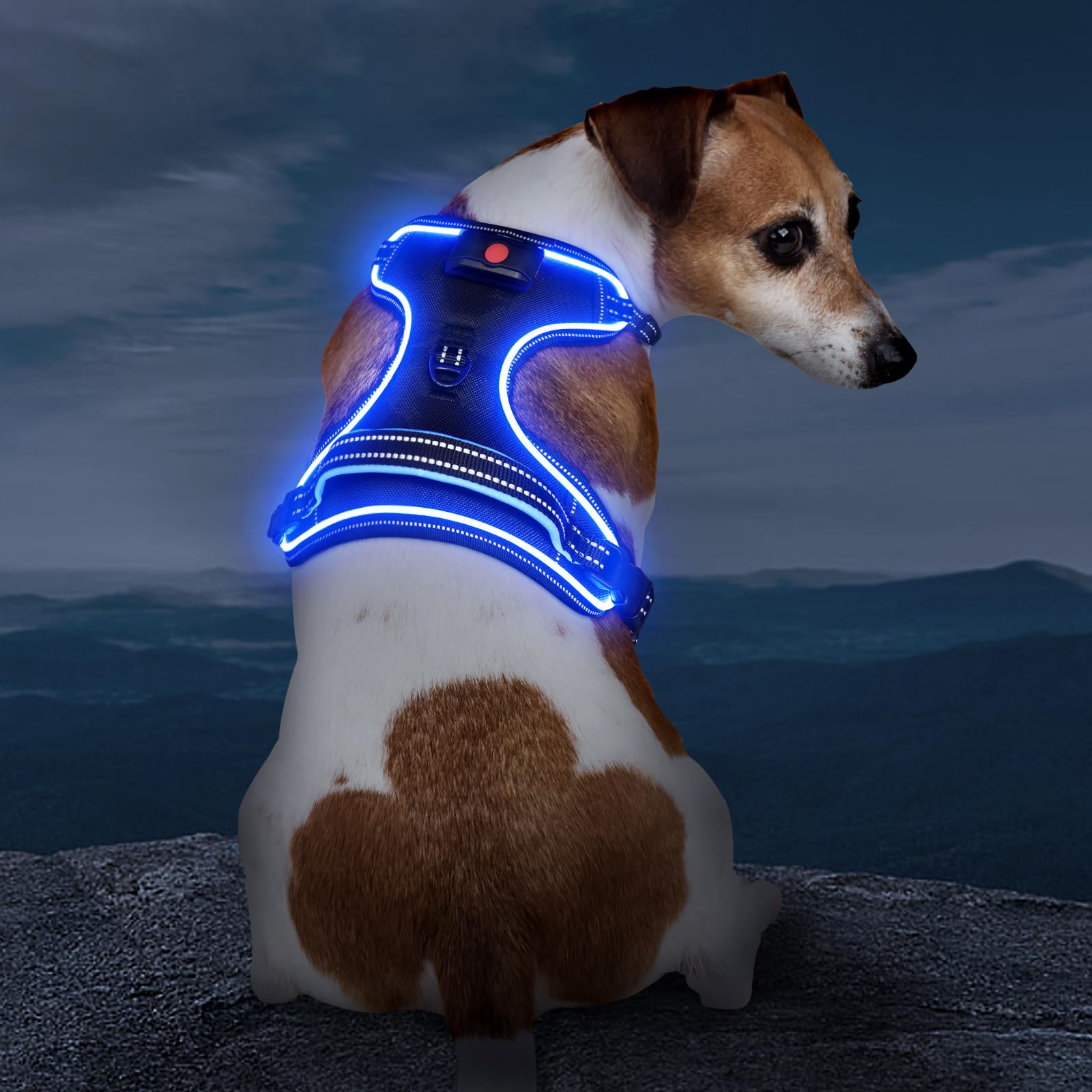 Vizbrite arnés perro con luz frontal mejora visibilidad en paseos nocturnos