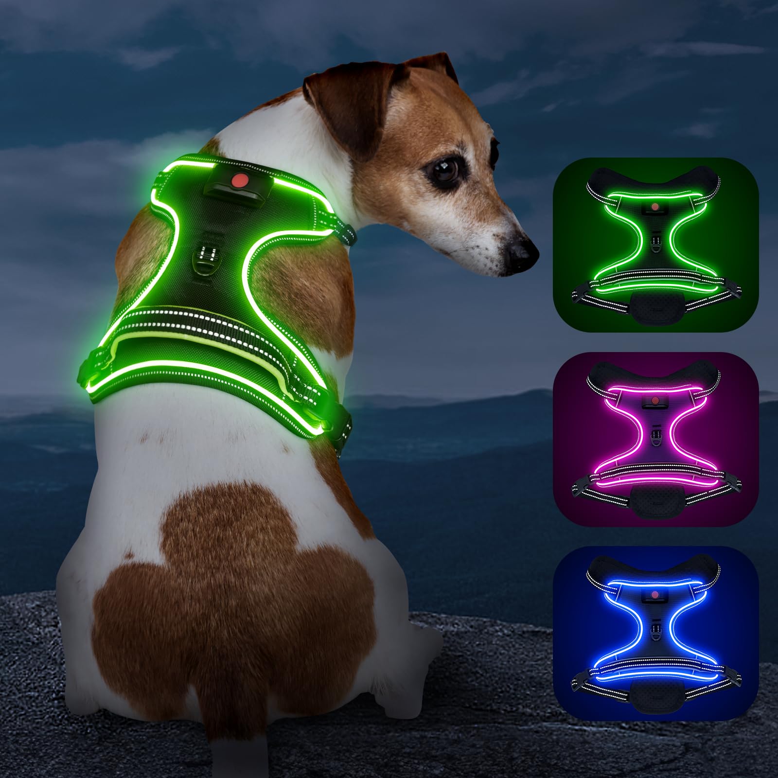 Vizbrite arnés perro luz de diodos para mayor visibilidad nocturna durante paseos