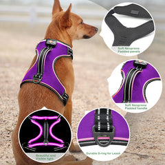 Vizbrite arnés sin tirar para perro facilita paseos tranquilos
