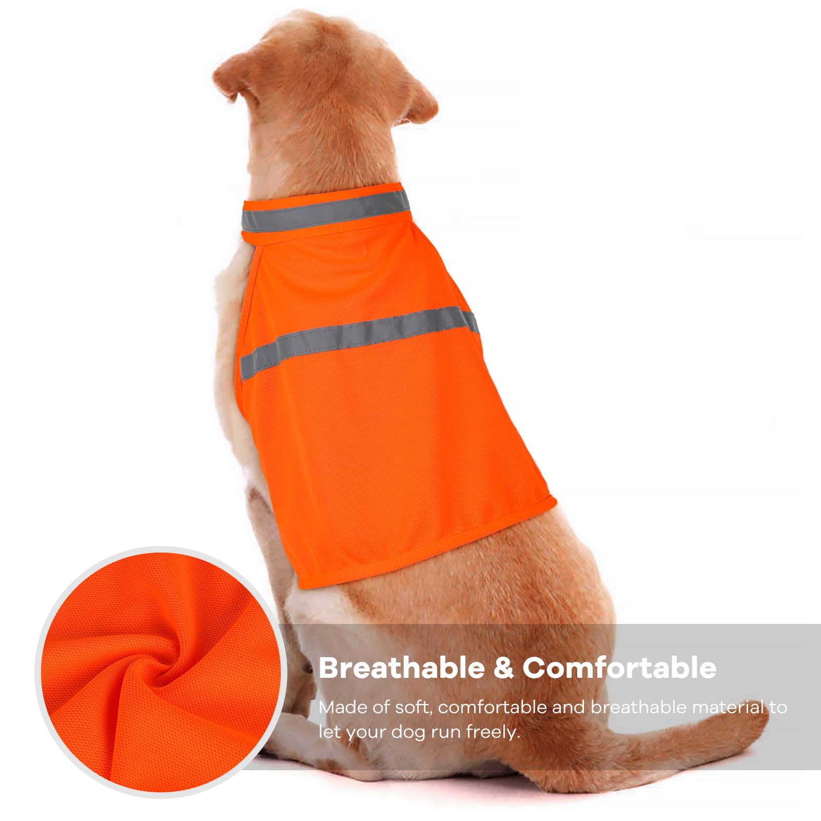 Chaqueta Vizbrite para perros, cierres y ajuste fácil para comodidad diaria.