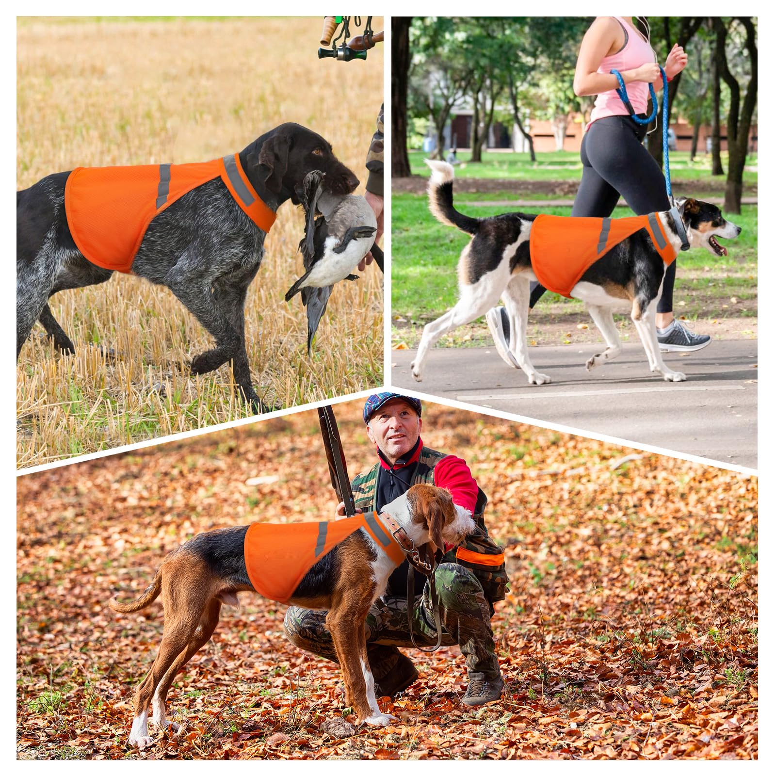 Chaqueta Vizbrite para paseo al aire libre en color naranja.