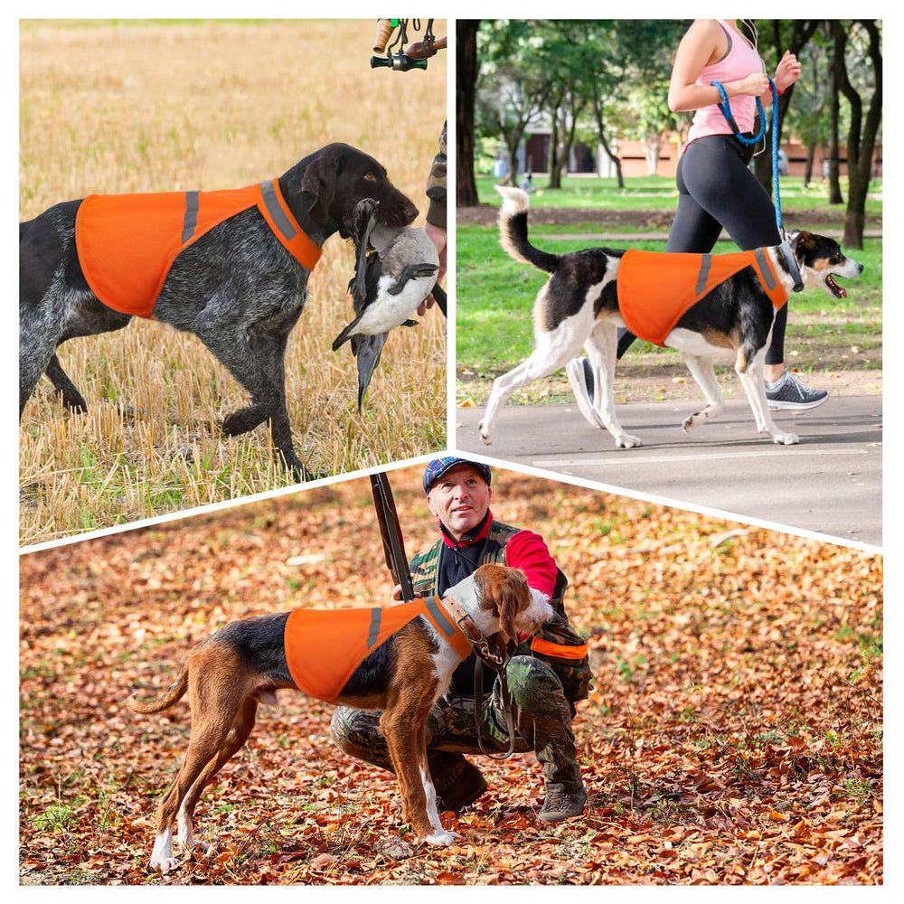 Chaqueta Vizbrite para paseo al aire libre en color naranja.