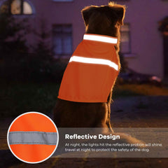 Chaqueta Vizbrite, ajuste con velcro para diferentes tamaños de perro.