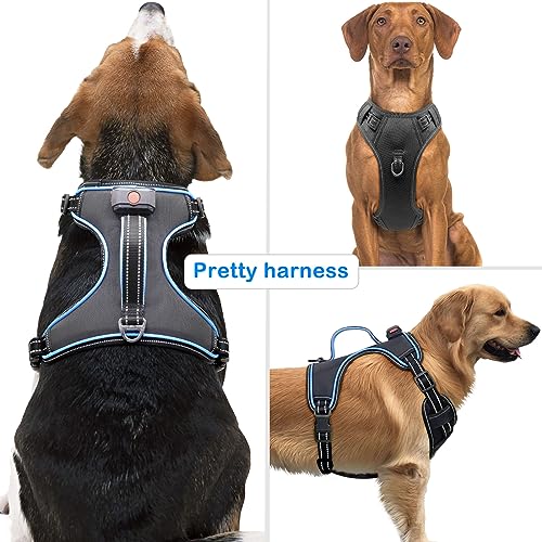 Vizbrite arnés con asa trasera suave para paseos cómodos.