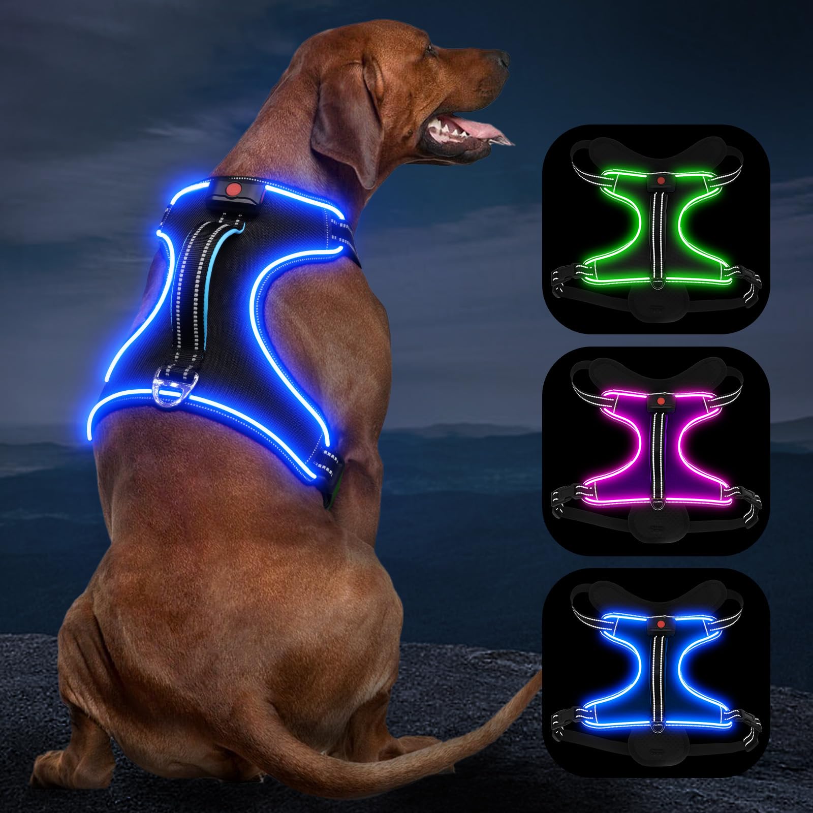 Vizbrite arnés con luz para caminatas nocturnas, mayor visibilidad.