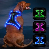 Vizbrite arnés con luz para caminatas nocturnas, mayor visibilidad.