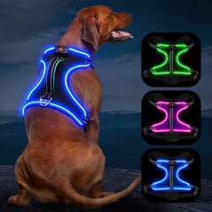 Vizbrite arnés con luz para caminatas nocturnas, mayor visibilidad.