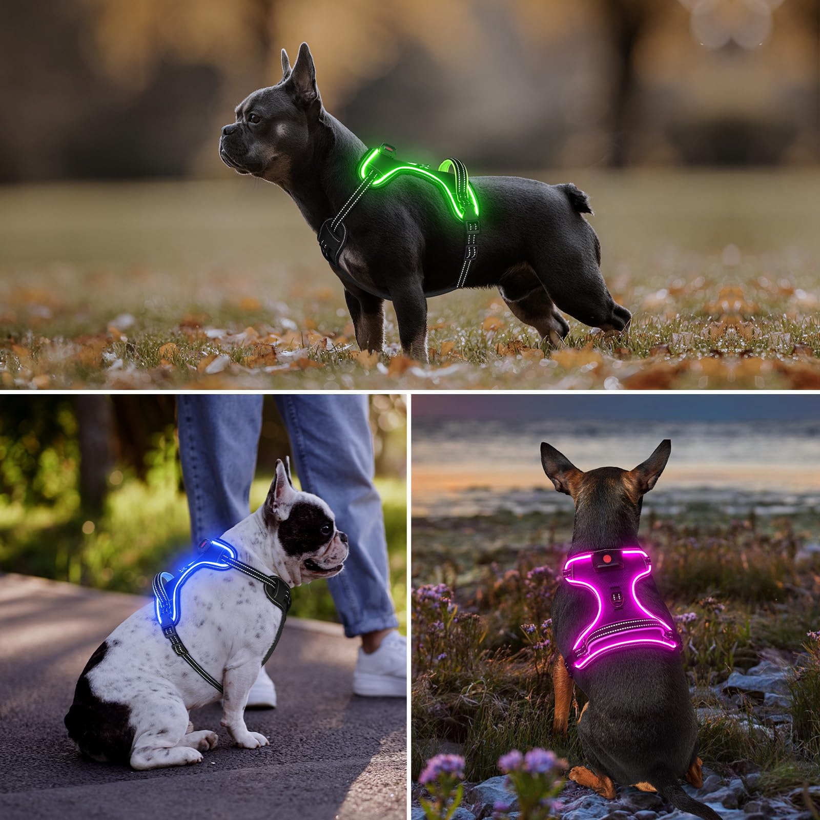 Vizbrite arnés disponible en tallas variadas para perros.