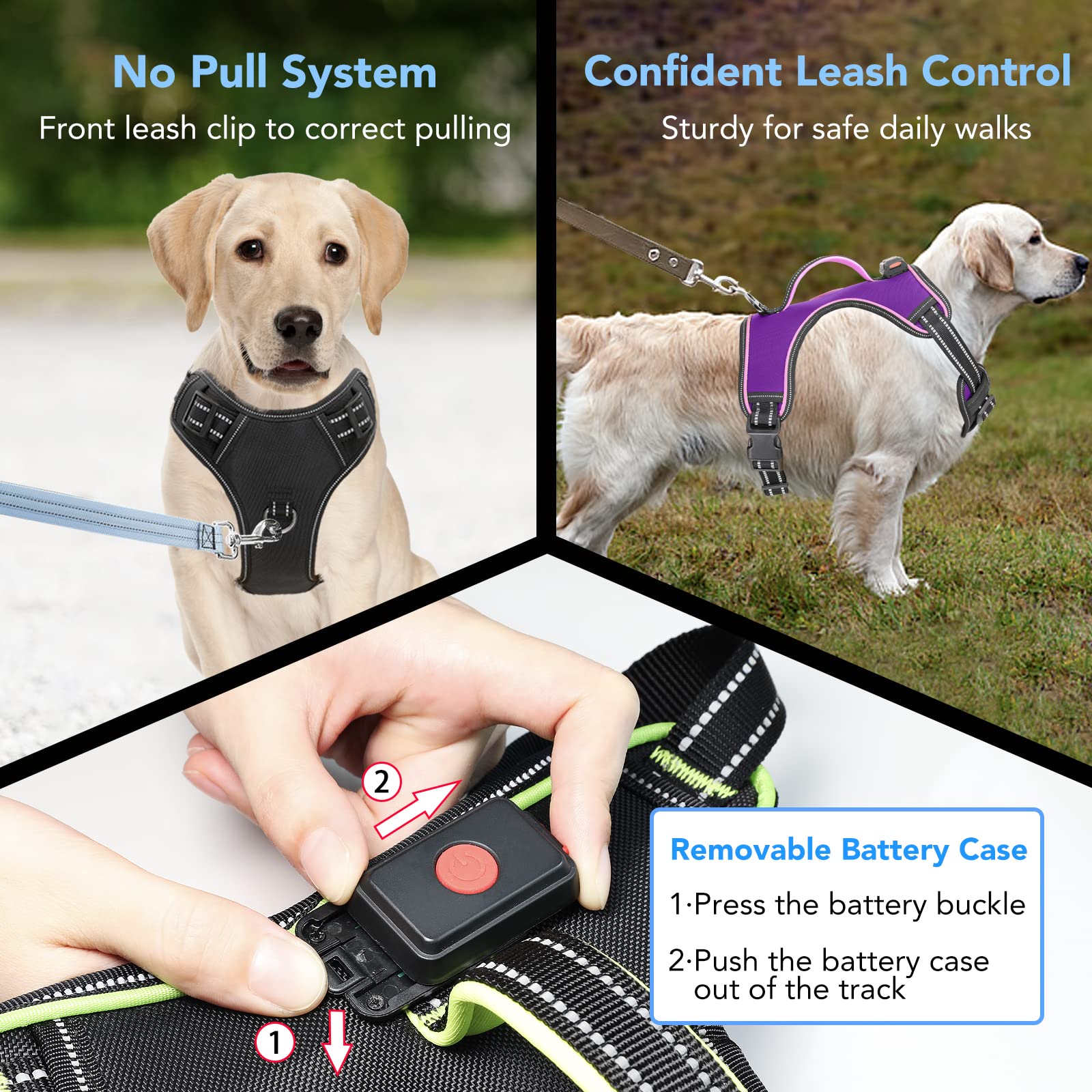 Vizbrite visibilidad nocturna para perros con pelo oscuro