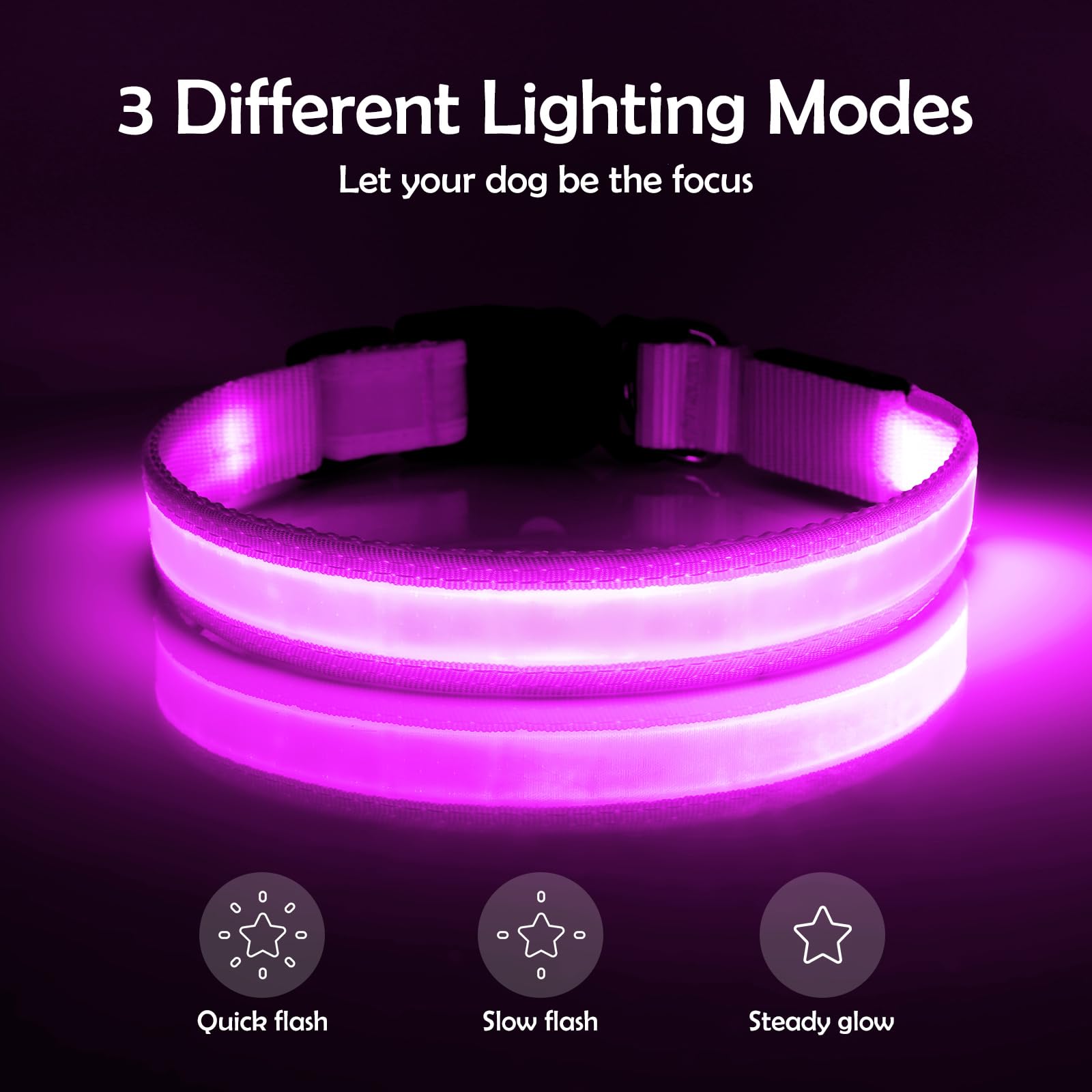 Collar Vizpet LED recargable por USB; evita cambios de batería.