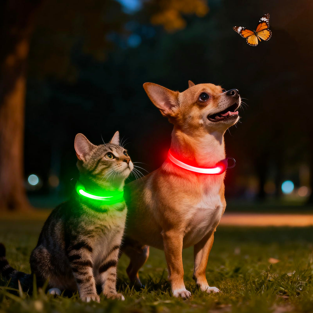 Vizpet collar luz alta visibilidad rojo XS, ideal para paseos nocturnos.