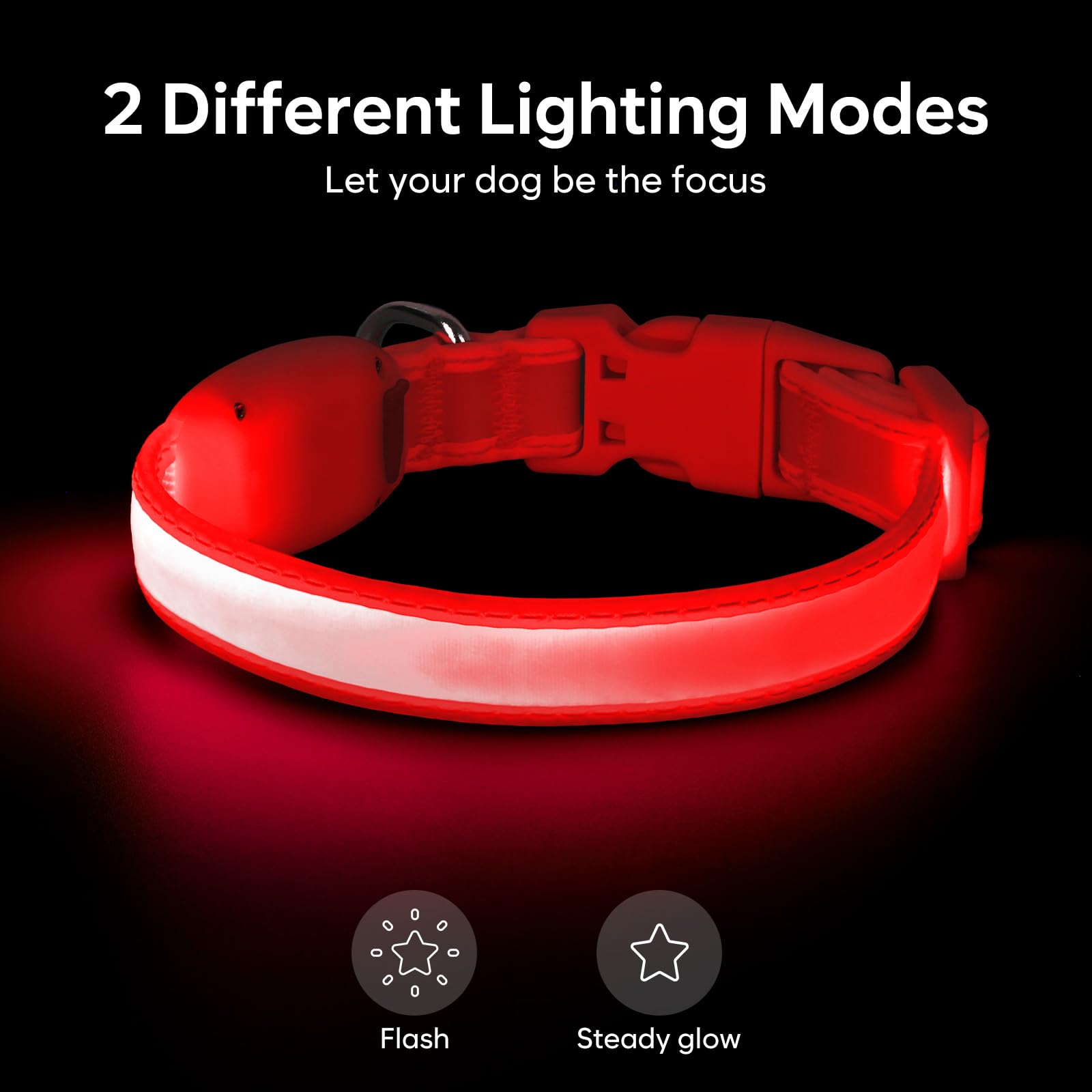 Vizpet collar luz USB recargable rojo XS, carga rápida para salidas nocturnas.