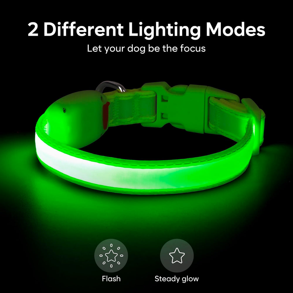 Collar luminoso Vizpet verde para uso nocturno en mascotas