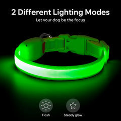 Collar luminoso Vizpet verde para uso nocturno en mascotas