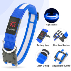 Vizpet collar con alta visibilidad, hasta 500 metros.