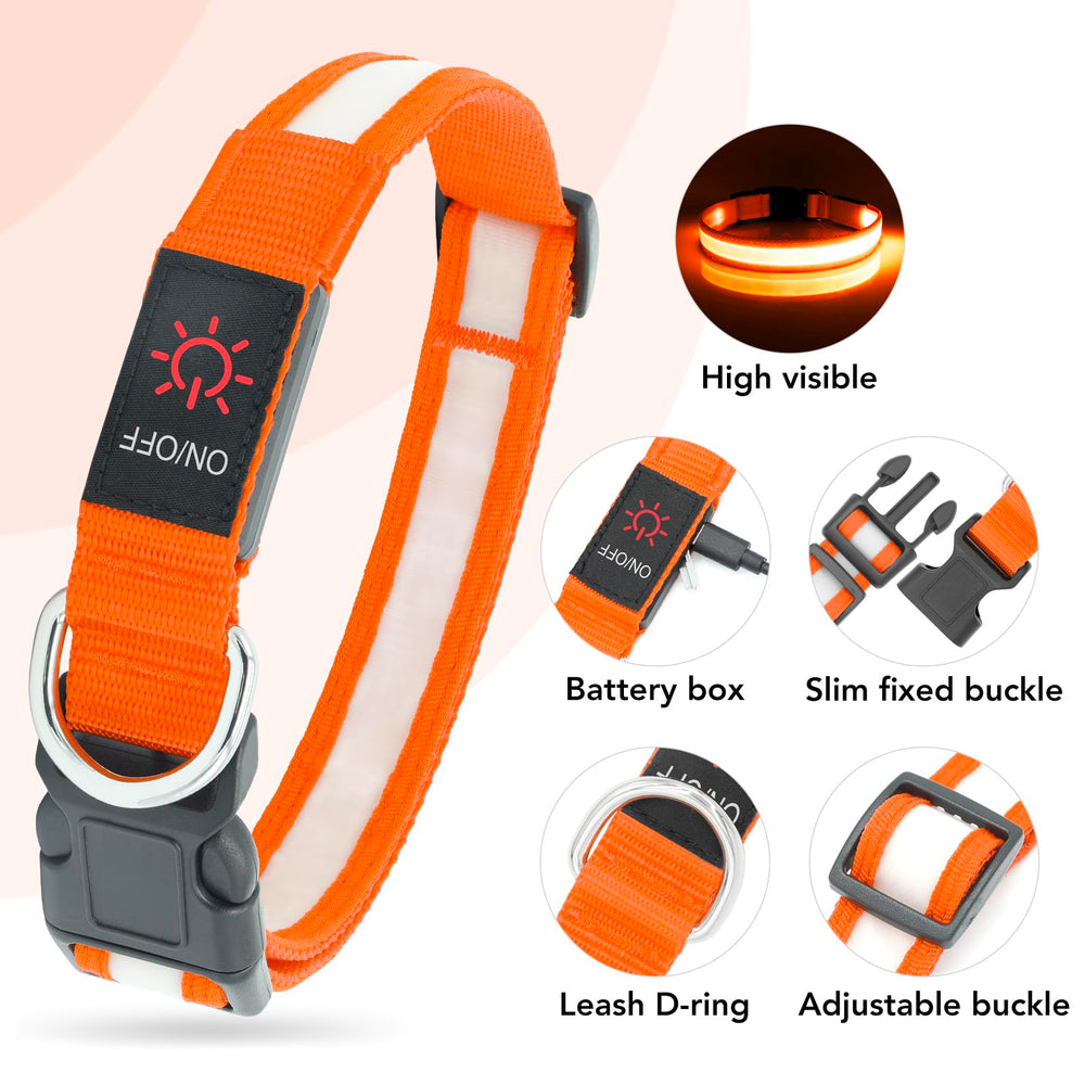 Vizpet collar LED se recarga por USB para uso práctico