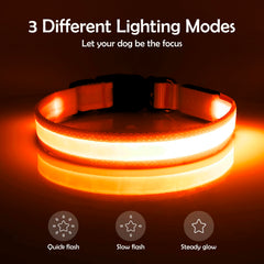 Vizpet collar LED ajustable para ajuste cómodo durante paseos