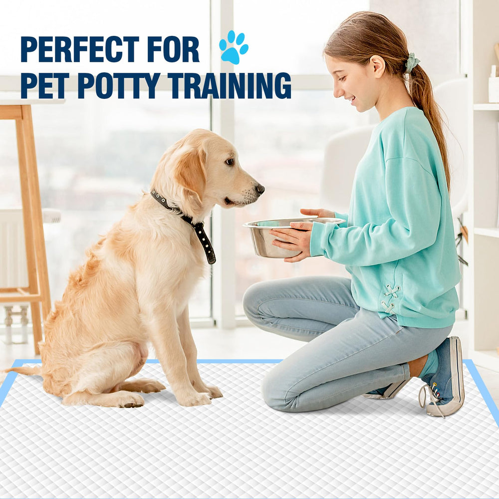 Apto para perros y gatos, opción práctica y rentable.