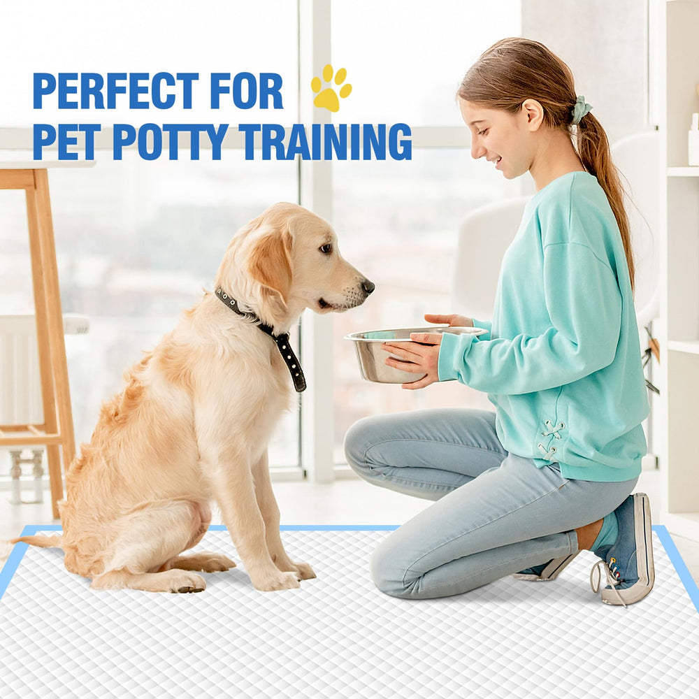 Uso versátil de VJJ para interiores y exteriores, adecuado para varios animales
