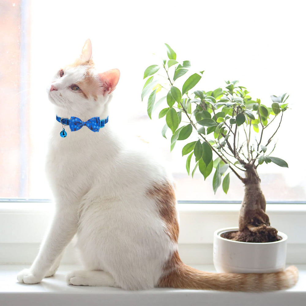 Lazo removible y campana VKPETFR para gatitos