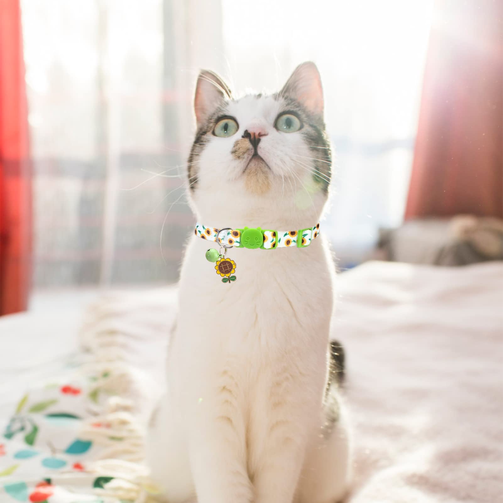 Collar VKPETFR con patrones de animales y girasoles