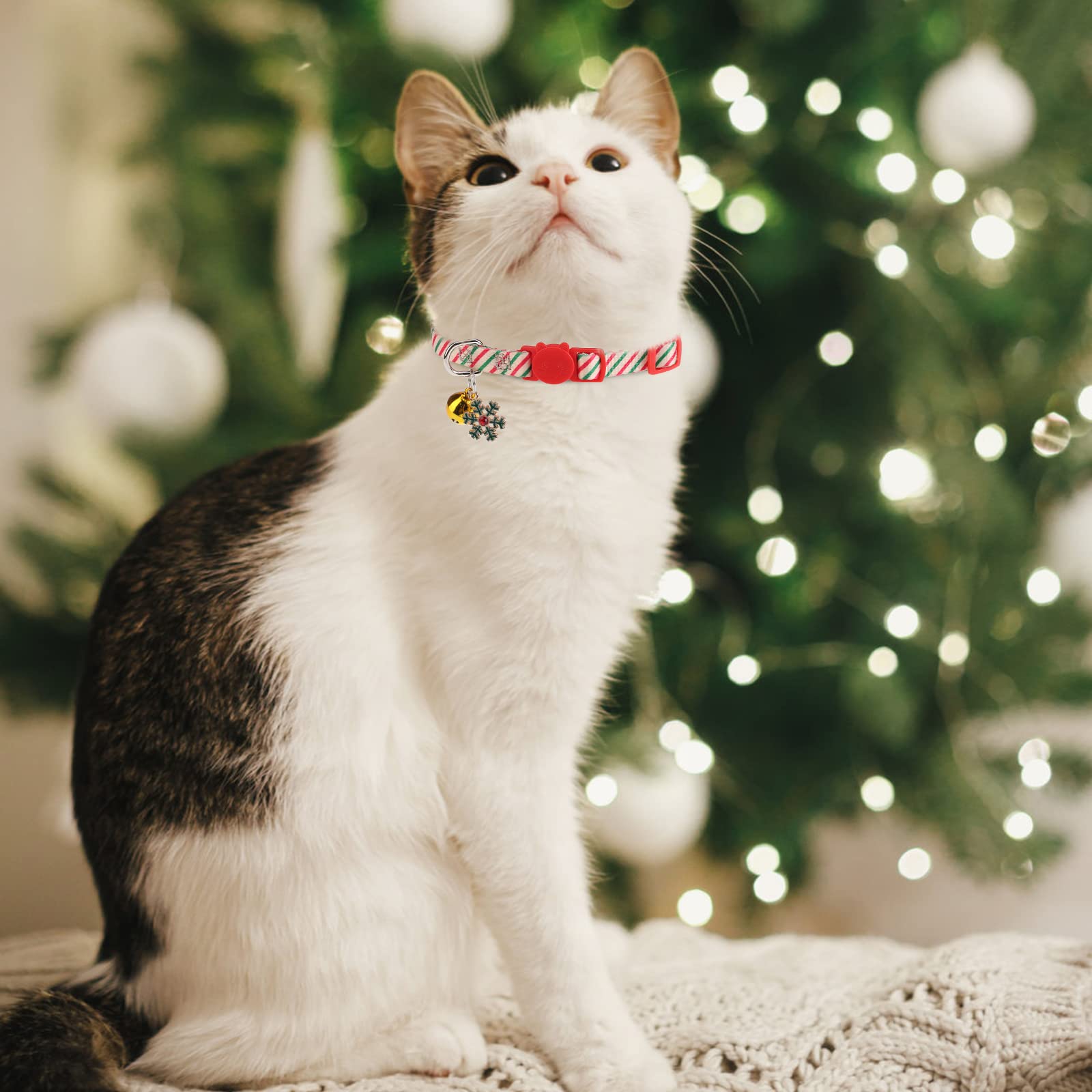 VKPETFR uso-diario-navidad: perfecto para diario y fiestas navideñas.