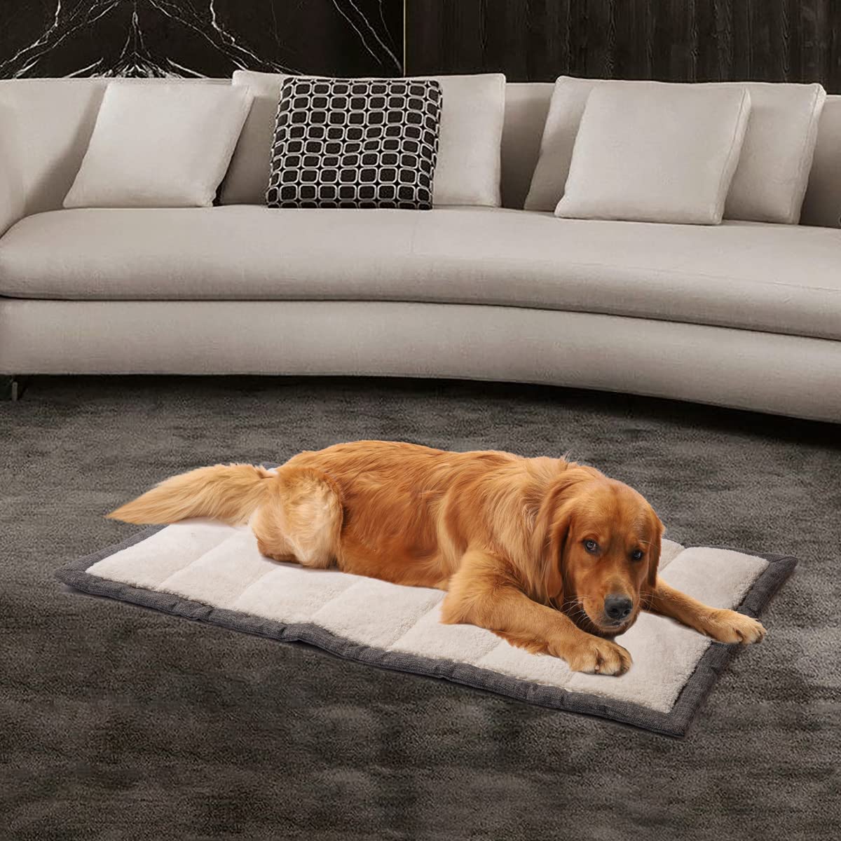 vmgreen acolchado camping para perros brinda suavidad y soporte.