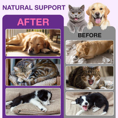VOFANK Melatonina para perros, apoyo a la relajación durante el día.