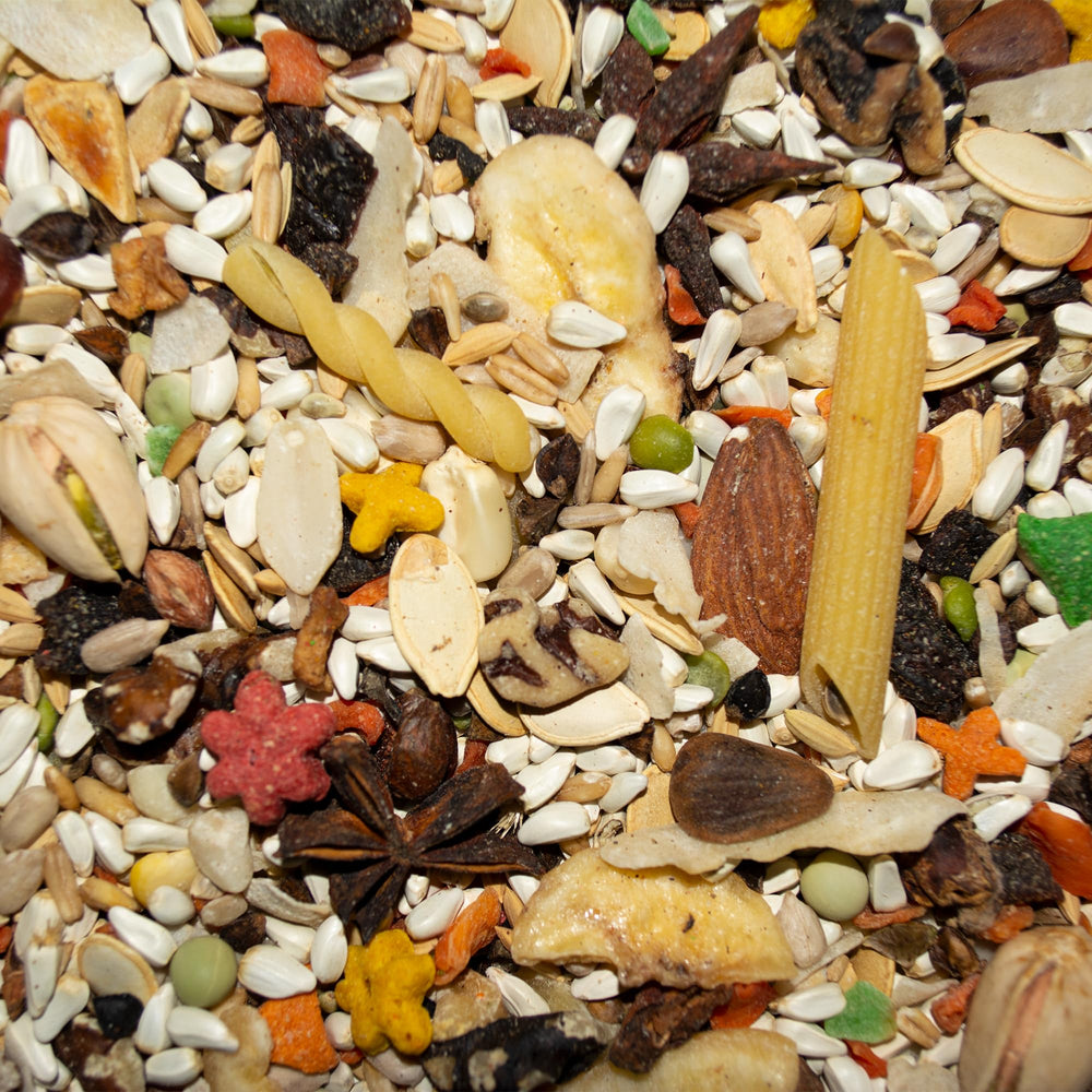 Volkman alimento loro gris africano: frutas variadas para sabor natural