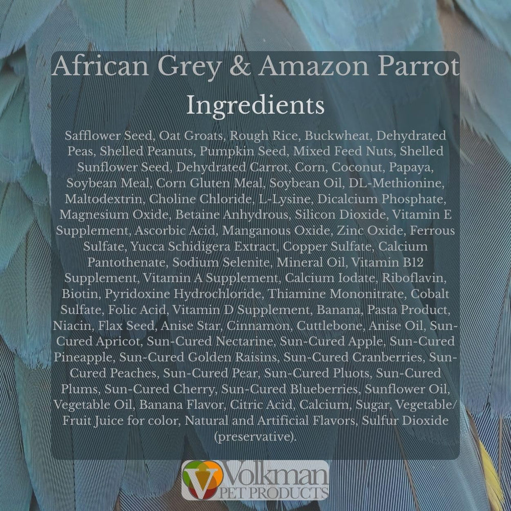 Volkman alimento loro gris africano: variedad de ingredientes para dieta sabrosa