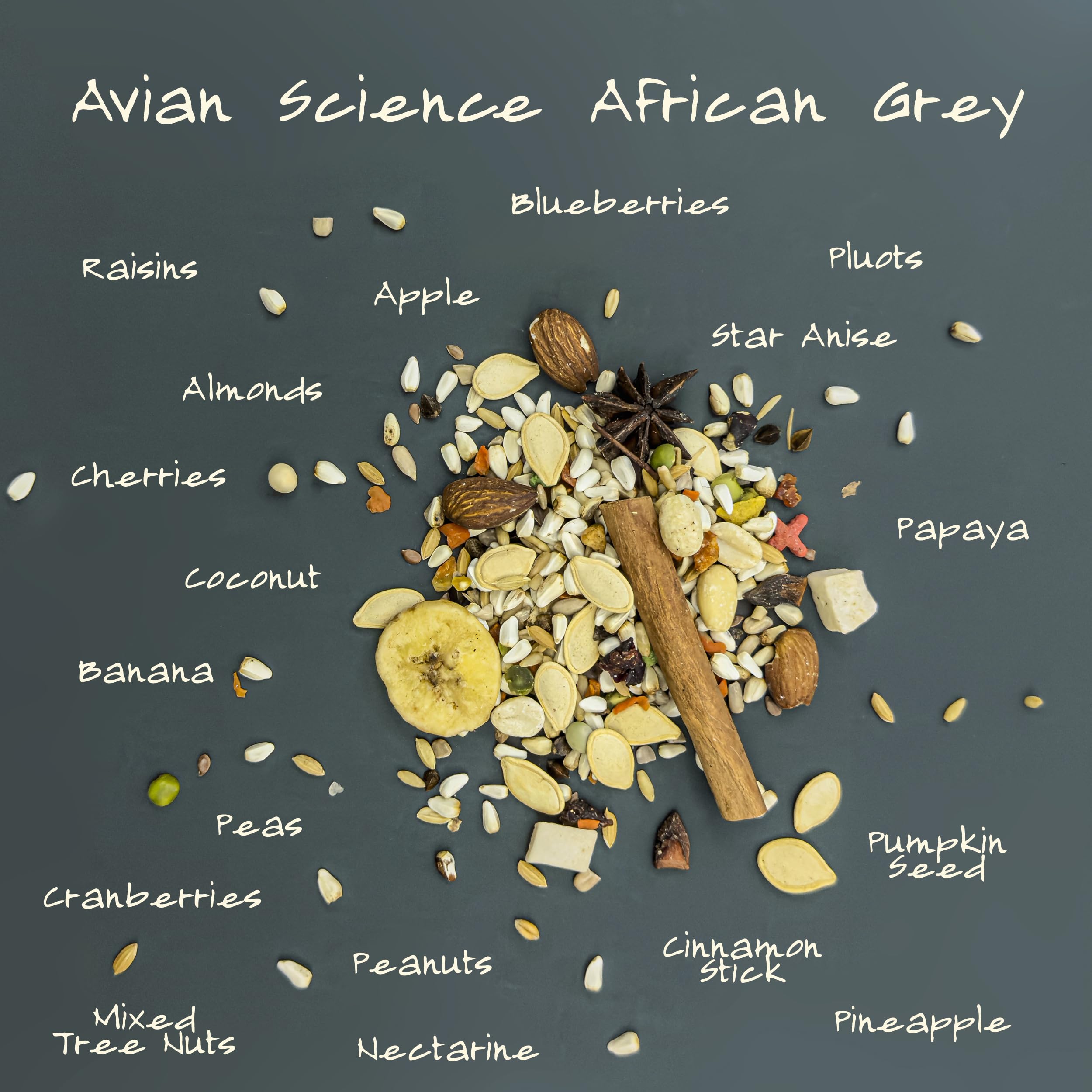 Volkman alimento loro gris africano: proceso triple limpieza para reducir polvo