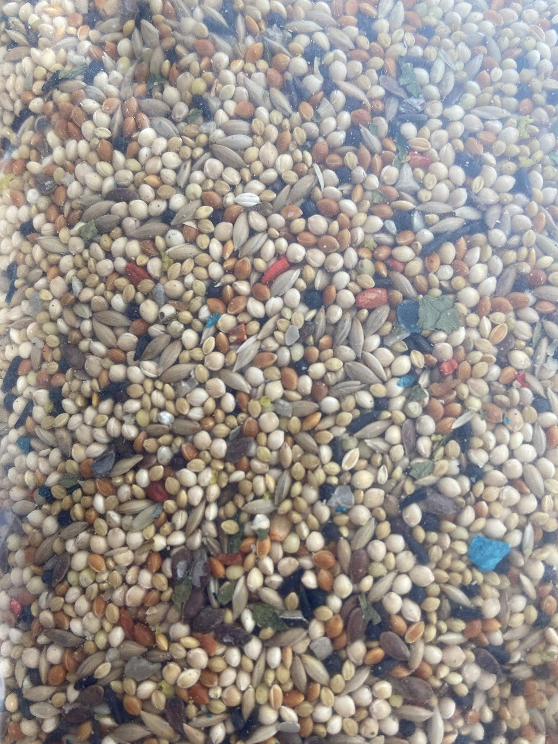 Volkman AS Migas de huevo, aporte de proteína para aves sanas.