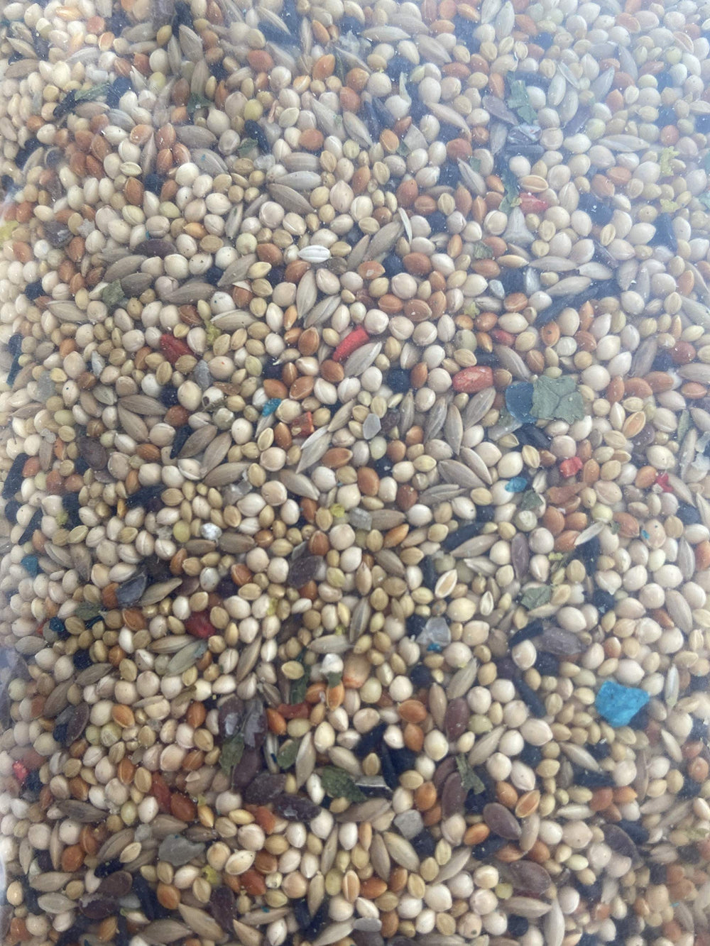 Volkman AS Migas de huevo, aporte de proteína para aves sanas.