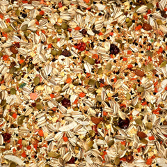 Volkman Eclectus, ave comiendo la mezcla, posible aporte de fibra y vitamina A