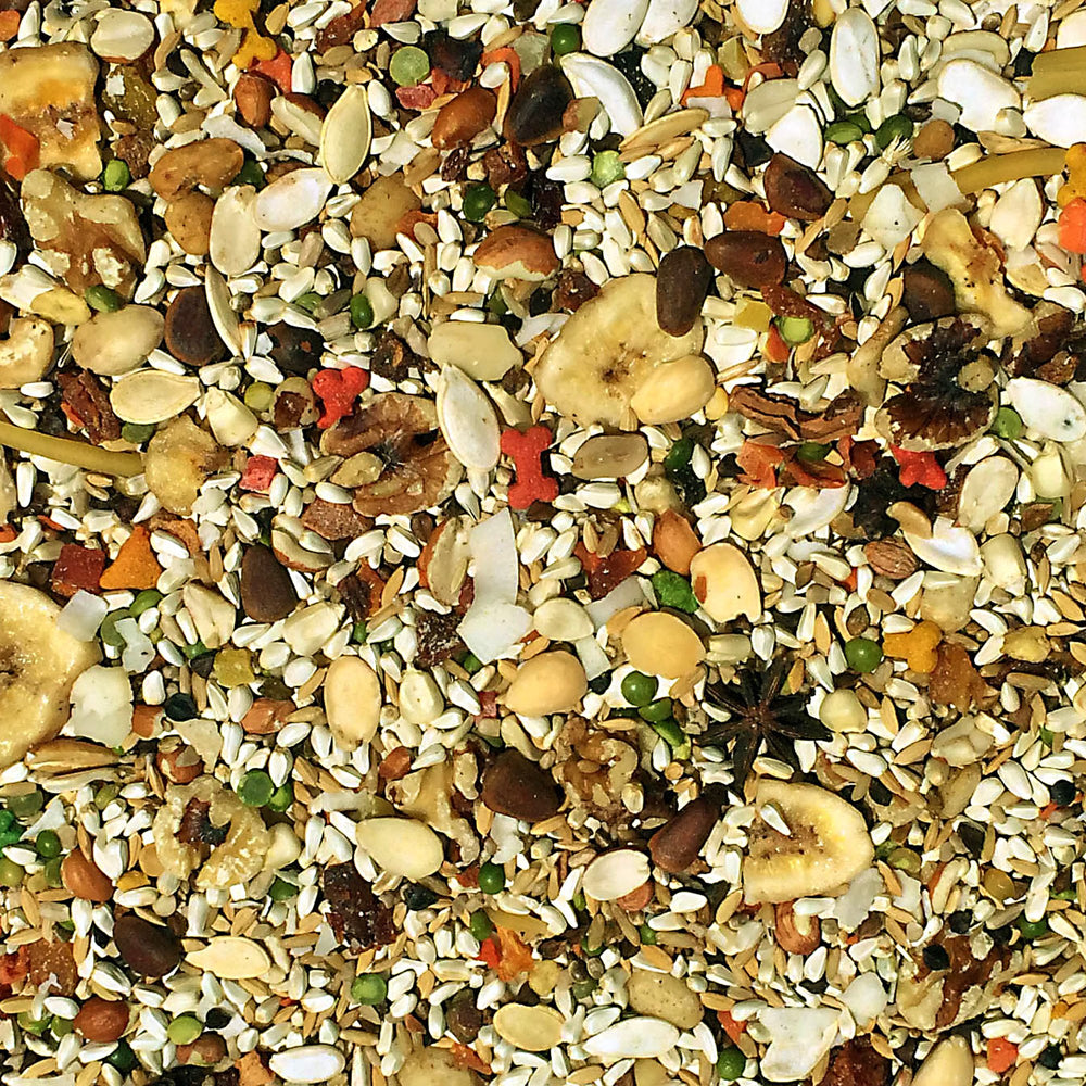 Volkman Avian Science Super African Grey, producto triple limpio sin polvo para loros.