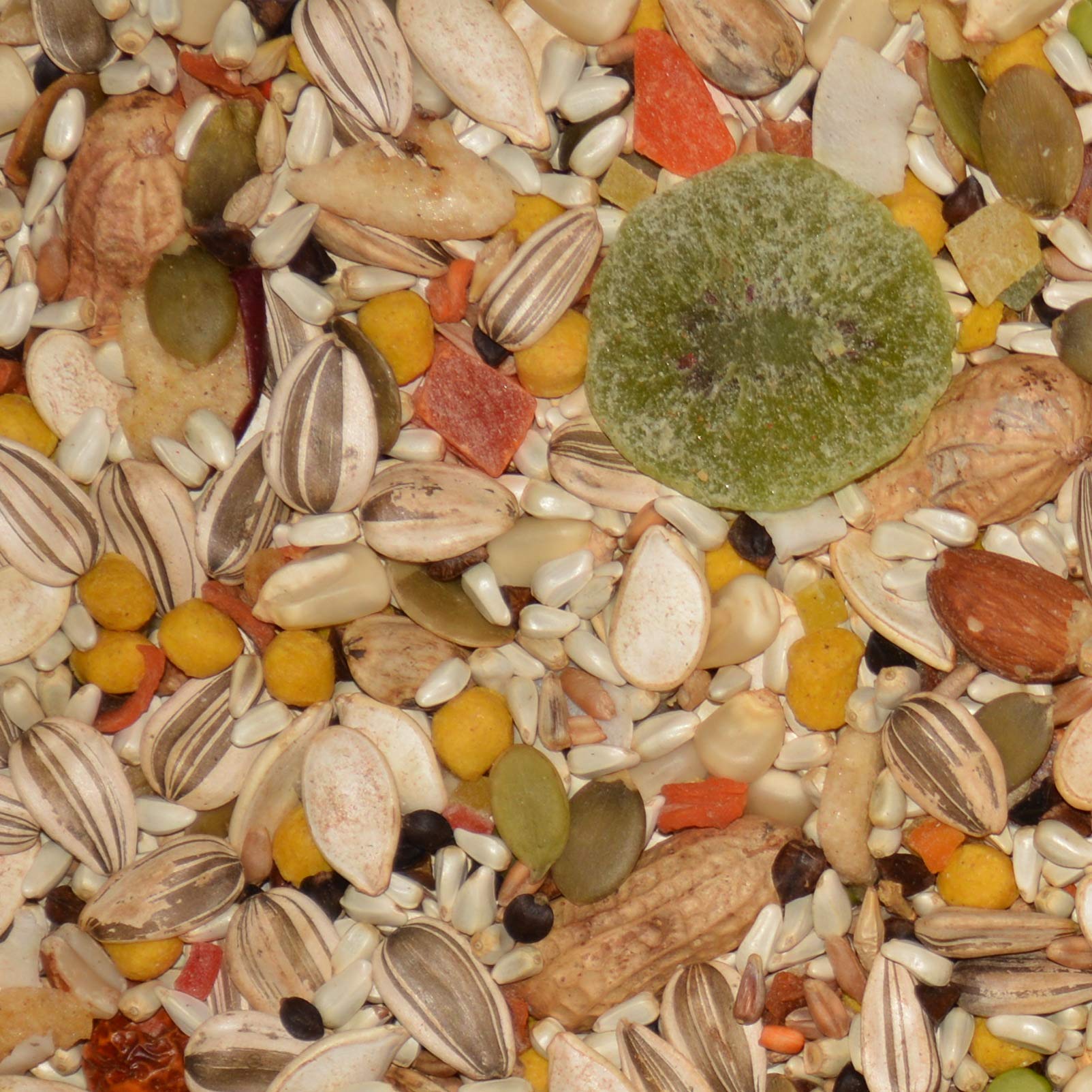 Volkman Avian Science Super Parrot, mezcla de ingredientes, ideal para una dieta variada.