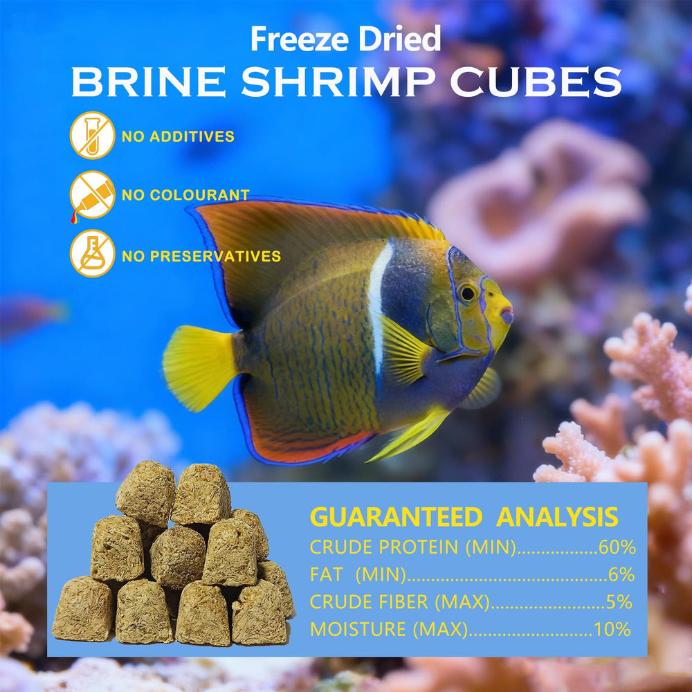 Vorenzyme cubos gambas liofilizadas, aptos para peces tropicales, marinos y koi.