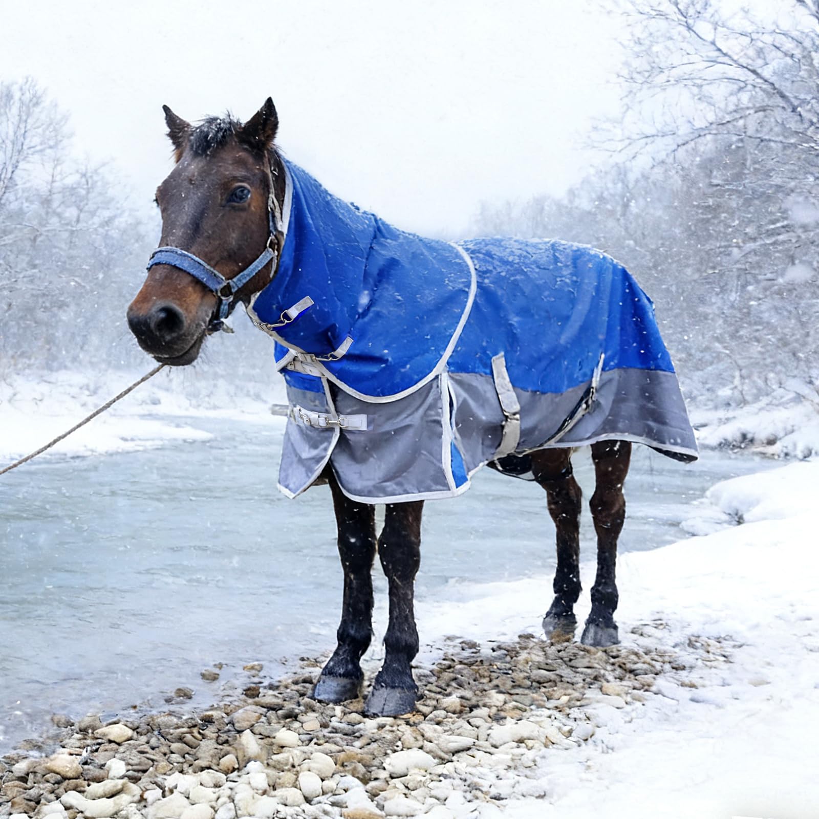 Manta Vortexain para caballos en clima exterior y lluvia ligera.