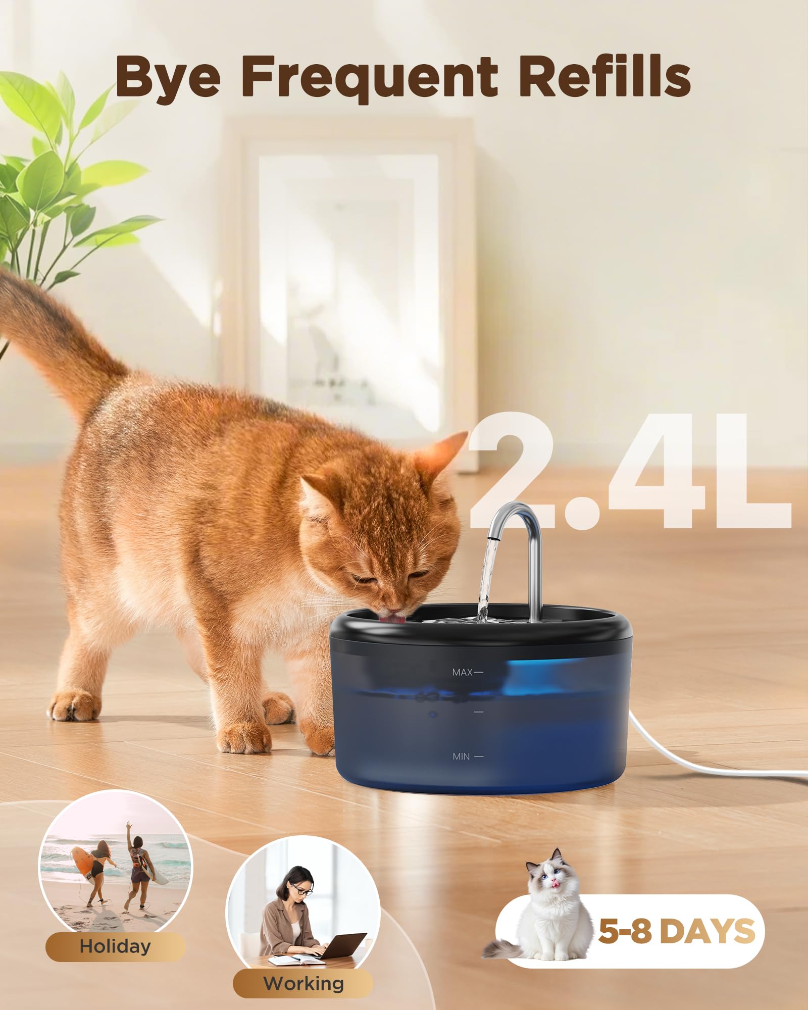 La vouaaood-boquilla-atrayente-para-gatos invita a beber de forma natural.