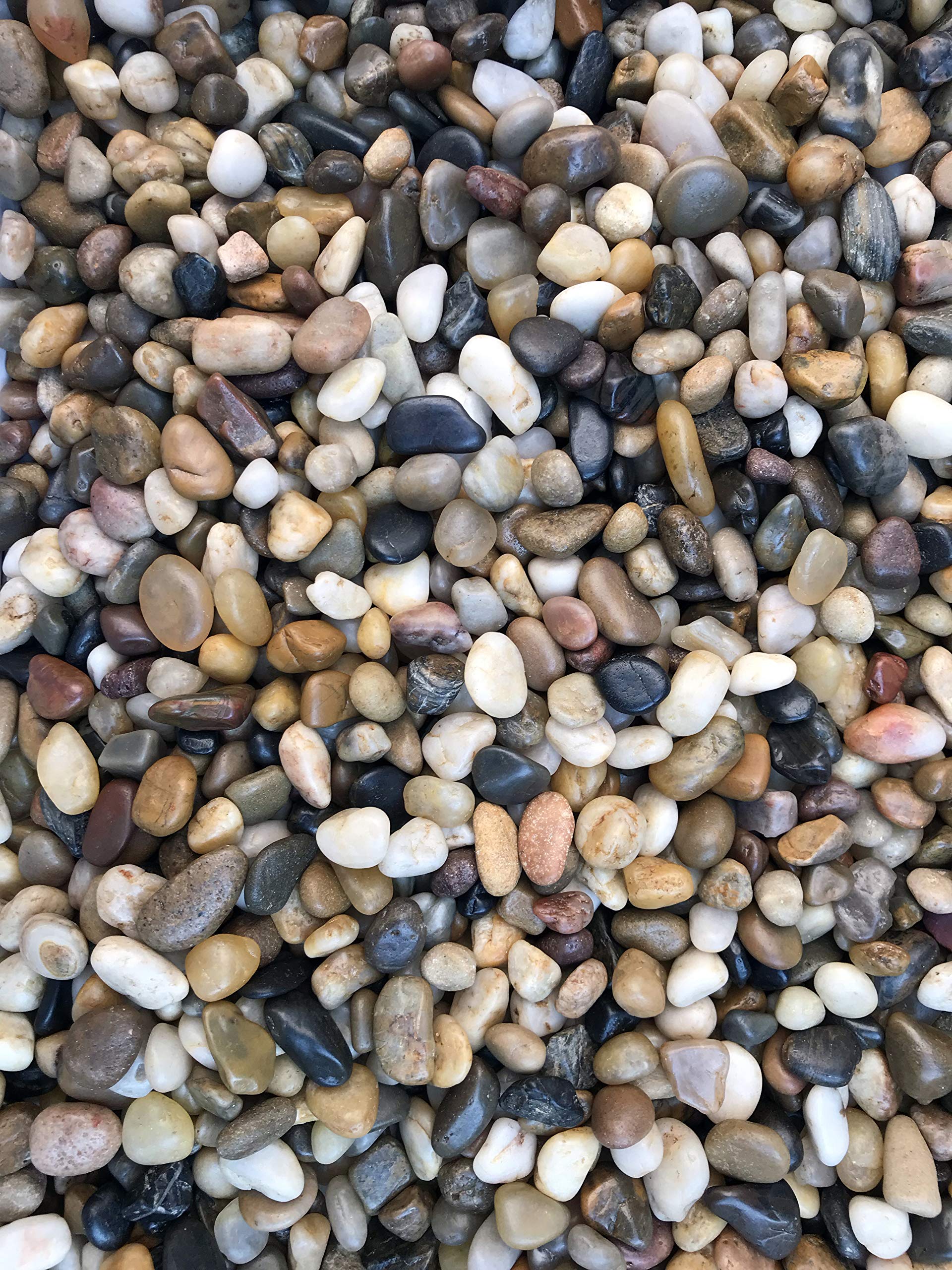 Piedras de río Voulosimi para relleno de jarrones y decoración duradera.
